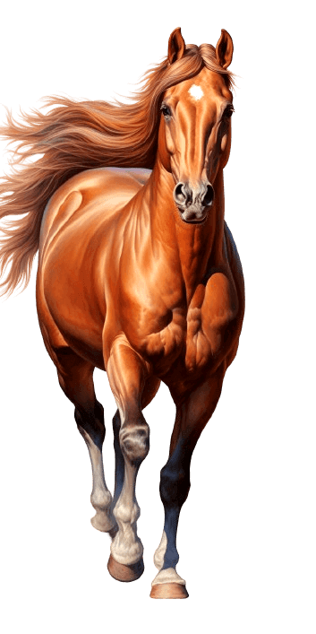 horse